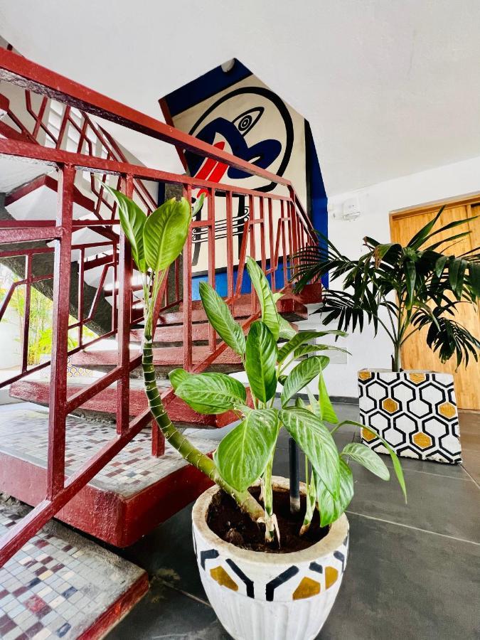 קוטונו La Villa Saint Jean מראה חיצוני תמונה